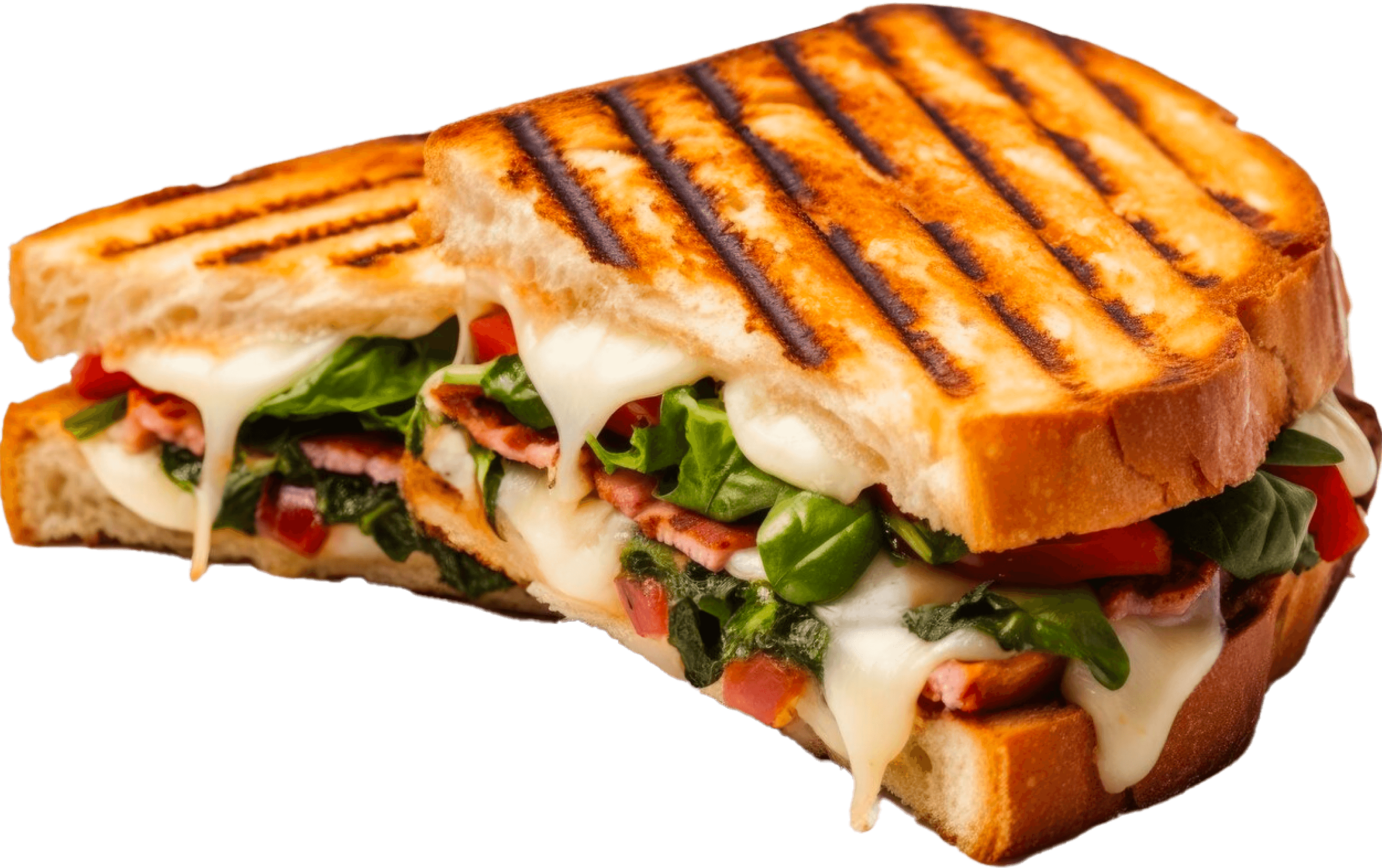 Crazy Mushroom Panini